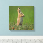 USA, South Dakota, Custer State Park Canvas Afdruk (Insitu (Houten vloer))