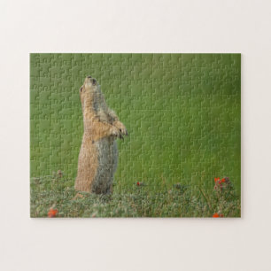 USA, South Dakota, Custer State Park Legpuzzel