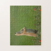 USA, South Dakota, Custer State Park Legpuzzel (Verticaal)