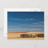 USA, South Dakota, Murdo, Prairie Landscape Briefkaart (Voorkant / Achterkant)