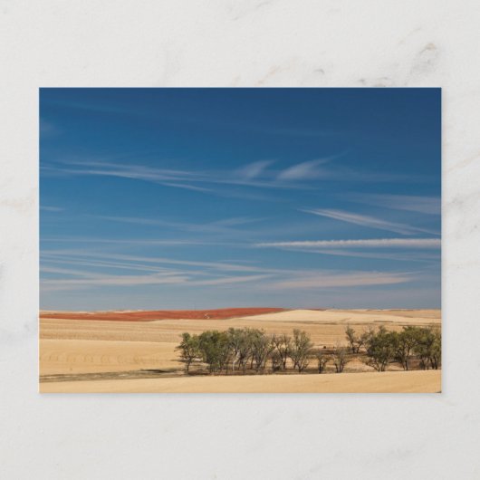 USA, South Dakota, Murdo, Prairie Landscape Briefkaart (Voorkant)