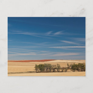 USA, South Dakota, Murdo, Prairie Landscape Briefkaart