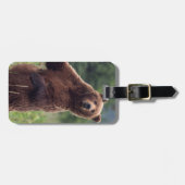 USA, Southeast Alaska, Brown Bear and cub Bagagelabel (Voorkant horizontaal)