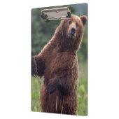 USA, Southeast Alaska, Brown Bear and cub Klembord (Links)