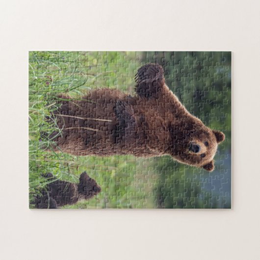 USA, Southeast Alaska, Brown Bear and cub Legpuzzel (Horizontaal)