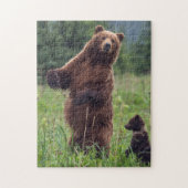 USA, Southeast Alaska, Brown Bear and cub Legpuzzel (Verticaal)