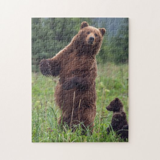 USA, Southeast Alaska, Brown Bear and cub Legpuzzel (Verticaal)