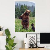 USA, Southeast Alaska, Brown Bear and cub Poster (Thuiskantoor)