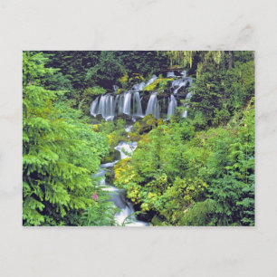 USA, staat Washington, Mt Adams Wilderness. Twin Briefkaart