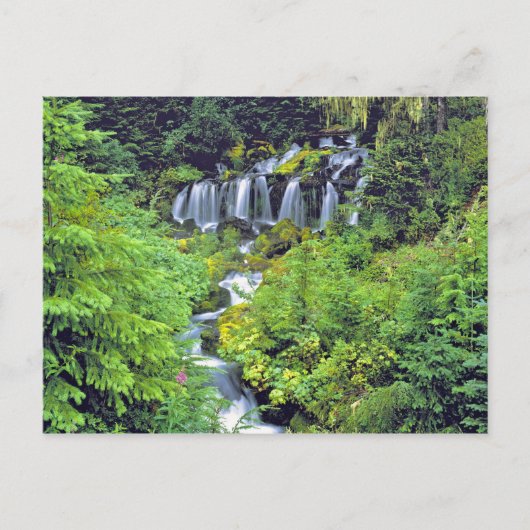 USA, staat Washington, Mt Adams Wilderness. Twin Briefkaart (Voorkant)