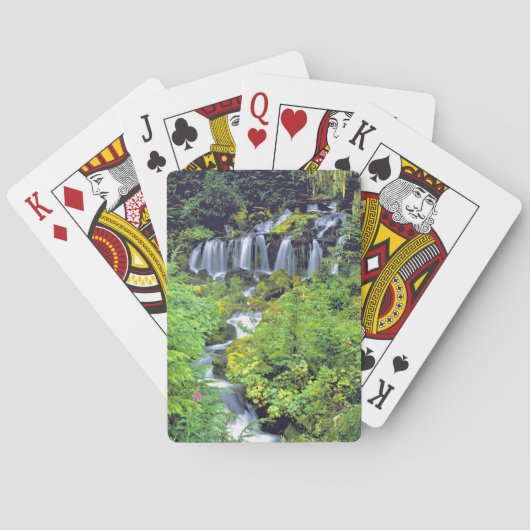 USA, staat Washington, Mt Adams Wilderness. Twin Pokerkaarten (Achterkant)