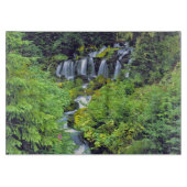 USA, staat Washington, Mt Adams Wilderness. Twin Snijplank (Voorkant)