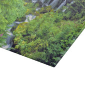 USA, staat Washington, Mt Adams Wilderness. Twin Snijplank (Hoek)