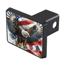 USA Steenarend Patriottische Kunst – Krachtige Ame