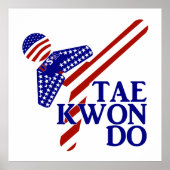 USA Taekwondo Kick (1) Poster (Voorkant)