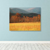 USA, Tennessee. Cades Cove In Smoky Mountain Canvas Afdruk (Insitu (Houten vloer))