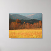 USA, Tennessee. Cades Cove In Smoky Mountain Canvas Afdruk (Voorkant)