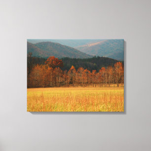 USA, Tennessee. Cades Cove In Smoky Mountain Canvas Afdruk