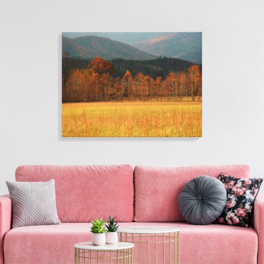 USA, Tennessee. Cades Cove In Smoky Mountain Canvas Afdruk (Insitu (Woonkamer))