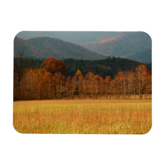 USA, Tennessee. Cades Cove In Smoky Mountain Magneet (Horizontaal)