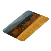 USA, Tennessee. Cades Cove In Smoky Mountain Magneet (Linkerzijde)