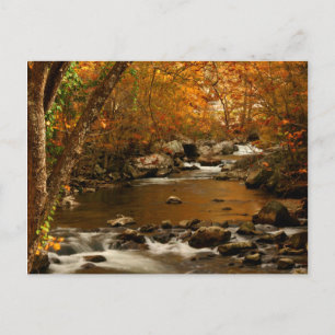 USA, Tennessee. Rushing Mountain Creek Briefkaart