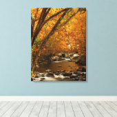 USA, Tennessee. Rushing Mountain Creek Canvas Afdruk (Insitu (Houten vloer))