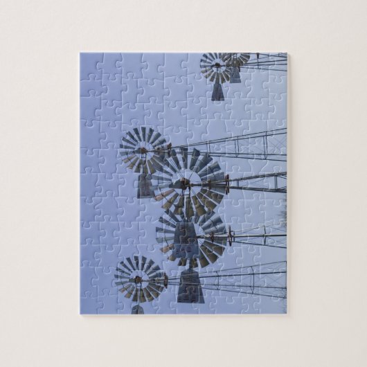 USA, TEXAS, Lubbock: American Wind Power Centre Legpuzzel (Verticaal)