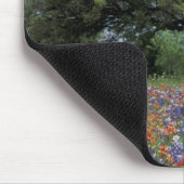 USA, Texas, Marble Herfsten Paintborstel en Muismat (Hoek)