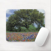 USA, Texas, Marble Herfsten Paintborstel en Muismat (Met muis)