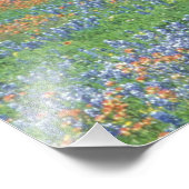 USA, Texas, Texas Hill Country Paintborstel en Foto Afdruk (Hoek)