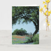 USA, Texas, Texas Hill Country Paintborstel en Kaart (Gele Bloem)