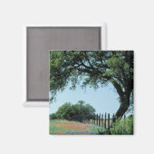 USA, Texas, Texas Hill Country Paintborstel en Magneet (Voorkant / Achterkant)