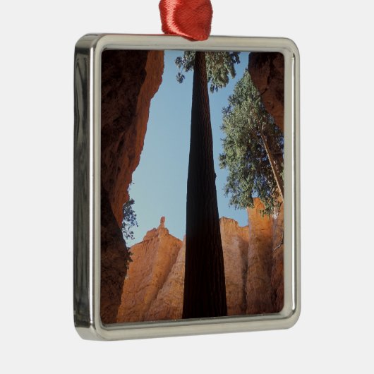 USA, Utah, Bryce Canyon National Park. Lang Metalen Ornament (Rechts)