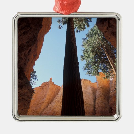 USA, Utah, Bryce Canyon National Park. Lang Metalen Ornament (Voorkant)