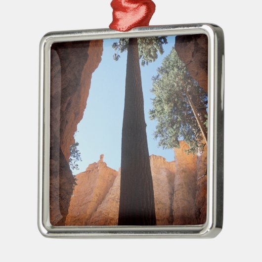 USA, Utah, Bryce Canyon National Park. Lang Metalen Ornament (Links)