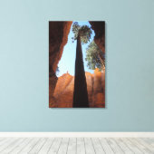 USA, Utah, Bryce Canyon National Park. Tall Canvas Afdruk (Insitu (Houten vloer))
