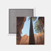 USA, Utah, Bryce Canyon National Park. Tall Magneet (Voorkant / Achterkant)