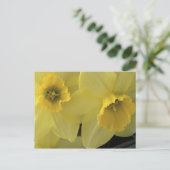 USA, Utah, Cache Valley Daffodils Briefkaart (Staand voorkant)