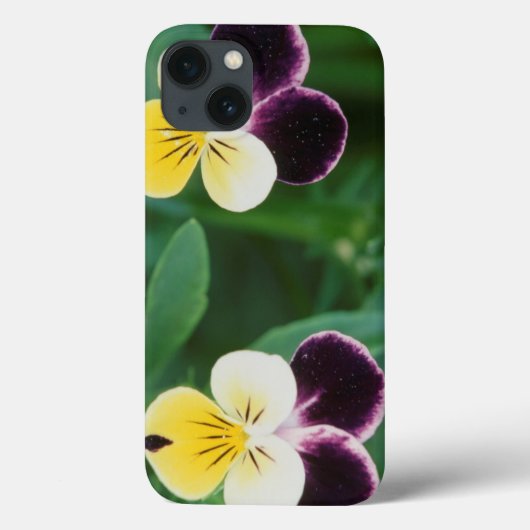 USA, Utah, Cache Valley, Johnny Jump Up Case-Mate iPhone Case (Achterkant)