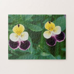 USA, Utah, Cache Valley, Johnny Jump Up Legpuzzel