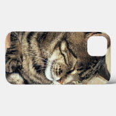 USA, Utah, Capitol Reef NP. Slaptende kat Case-Mate iPhone Case (Achterkant (horizontaal))