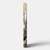 USA, Utah, Capitol Reef NP. Slaptende kat Case-Mate iPhone Case (Achterkant / Links)