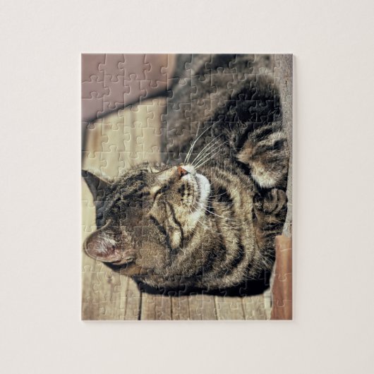 USA, Utah, Capitol Reef NP. Slaptende kat Legpuzzel (Verticaal)