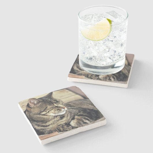 USA, Utah, Capitol Reef NP. Slaptende kat Stenen Onderzetter (Zijkant)