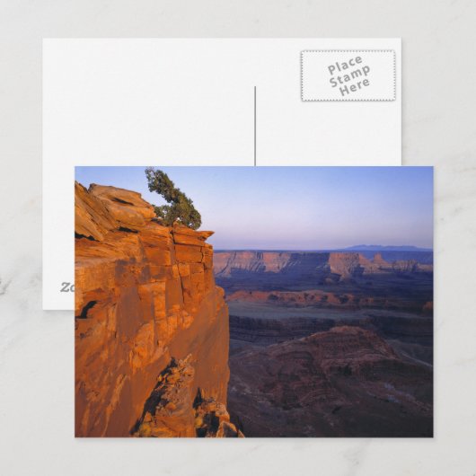 USA, Utah, Dead Horse Point SP. Late lichtbochten Briefkaart (Voorkant / Achterkant)