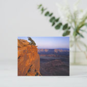 USA, Utah, Dead Horse Point SP. Late lichtbochten Briefkaart (Staand voorkant)
