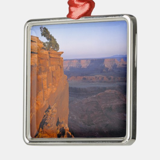 USA, Utah, Dead Horse Point SP. Late lichtbochten Metalen Ornament (Links)