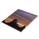 USA, Utah, Monument Valley National Park. 2 Tegeltje (Zijkant)