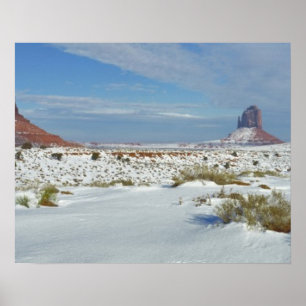 USA, Utah, Monument Valley. Sagebrush-shows Poster